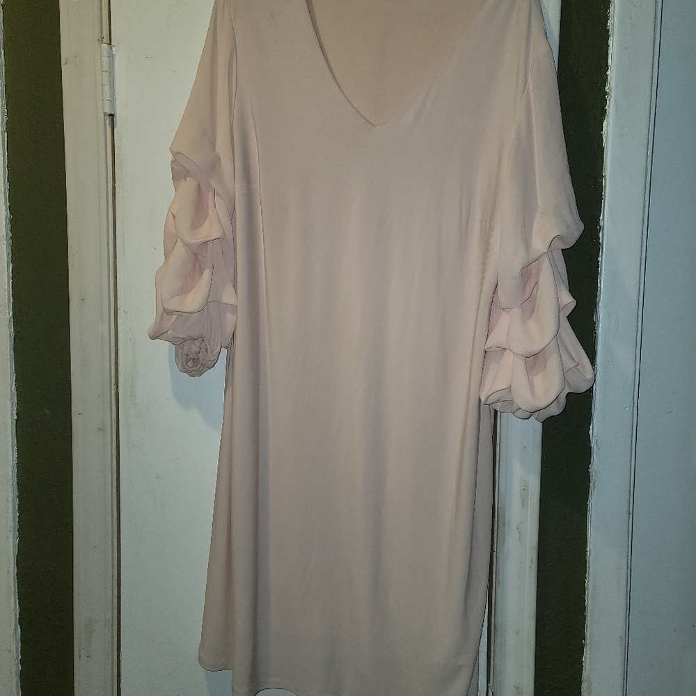 Clothes - Picture 6 of 8